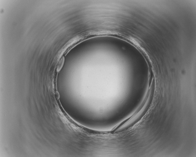 X0000057091189200509231642