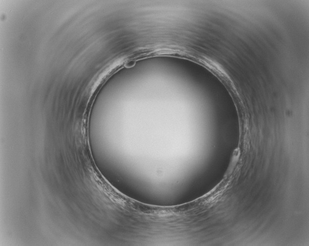 X0000057091190200509231642