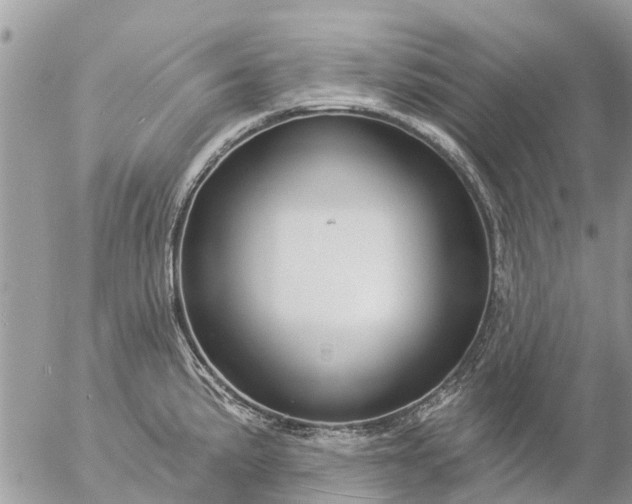 X0000057091191200509231642