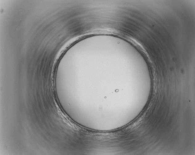 X0000057091192200509231642