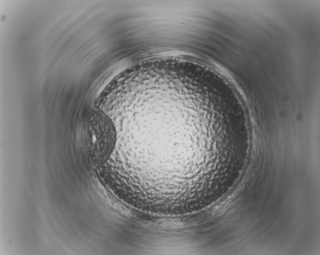 X0000057091194200509231642