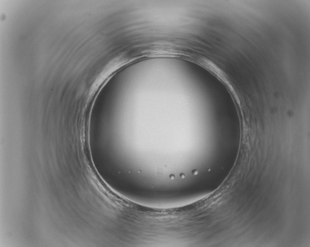 X0000057091195200509231642