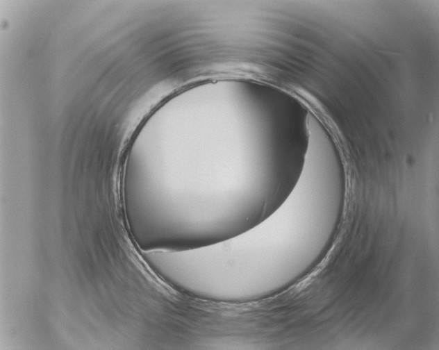 X0000057091196200509231642