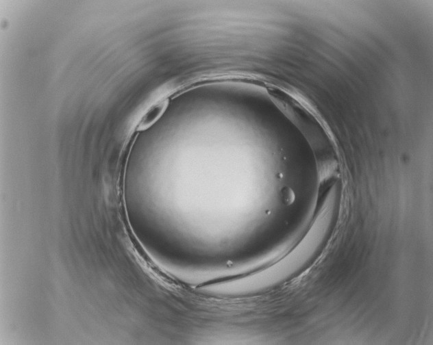 X0000057091197200509231642