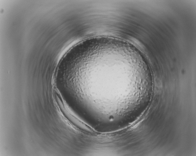 X0000057091198200509231642