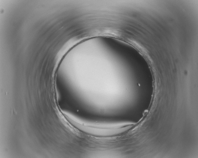 X0000057091200200509231642