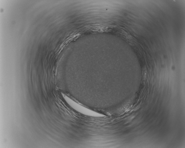 X0000057091202200509231641