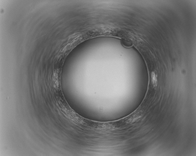 X0000057091203200509231641