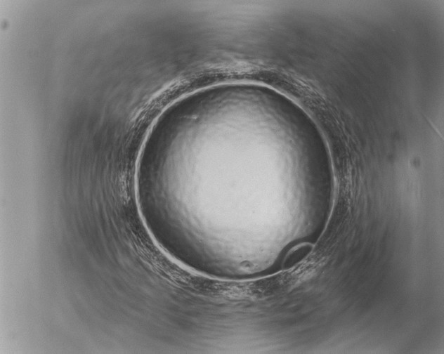 X0000057091205200509231641