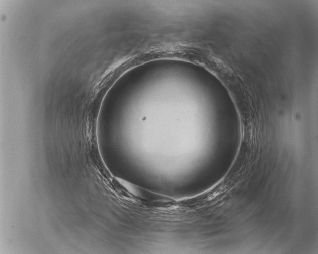 X0000057091206200509231641