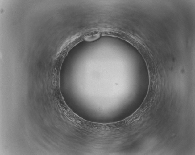 X0000057091207200509231641