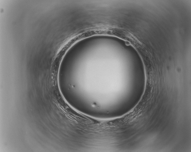 X0000057091208200509231641