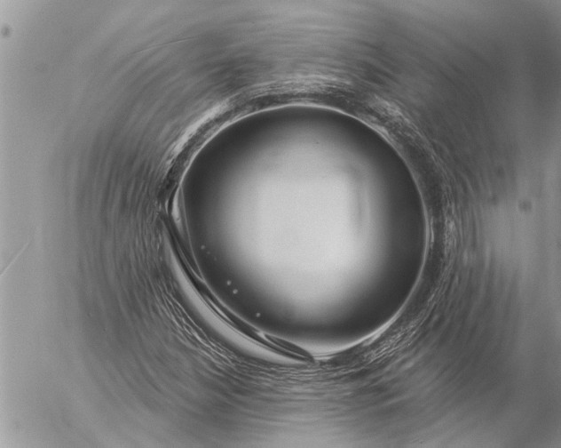 X0000057091210200509231641