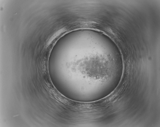 X0000057091211200509231641