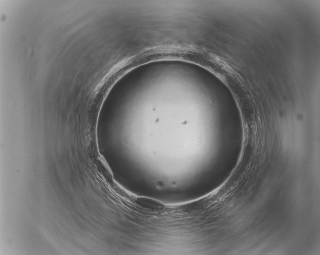 X0000057091213200509231641