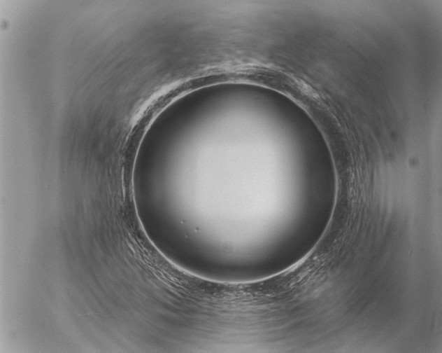 X0000057091214200509231641