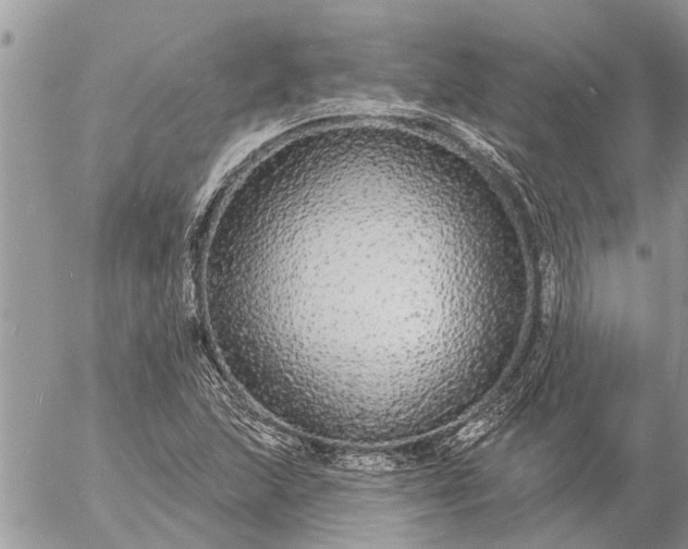 X0000057091215200509231641