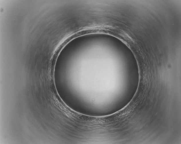 X0000057091216200509231641