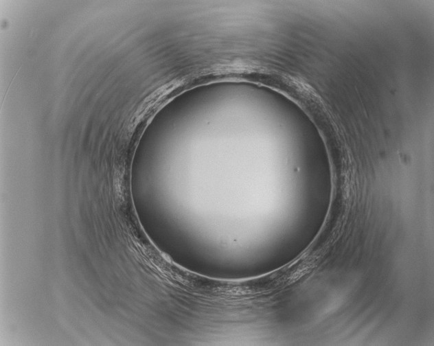 X0000057091217200509231641