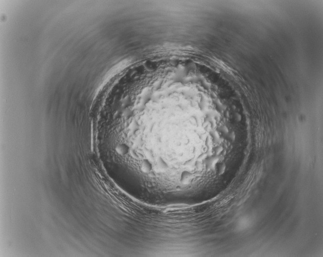 X0000057091219200509231641