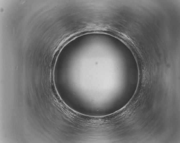 X0000057091220200509231641