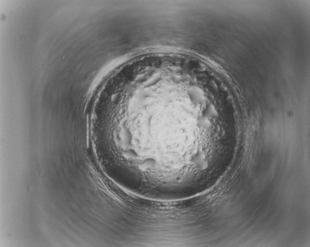 X0000057091223200509231641