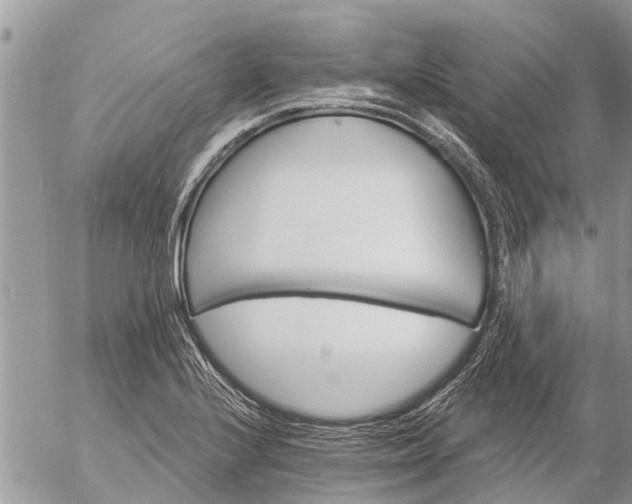 X0000057091224200509231641