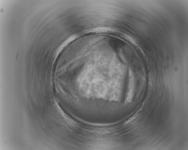 X0000057091229200509231641