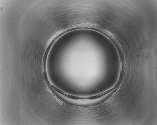 X0000057091230200509231641