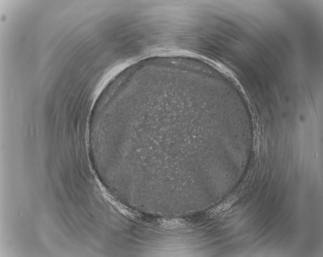 X0000057091231200509231641