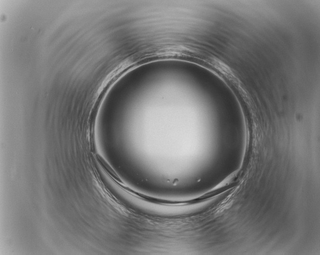 X0000057091234200509231641