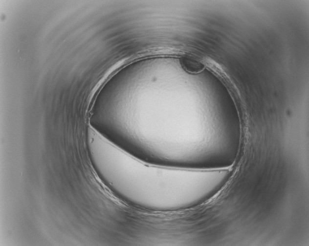 X0000057091236200509231641