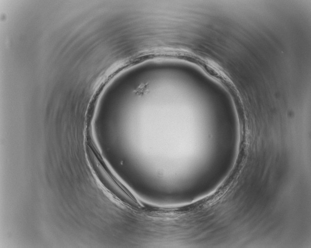 X0000057091237200509231641