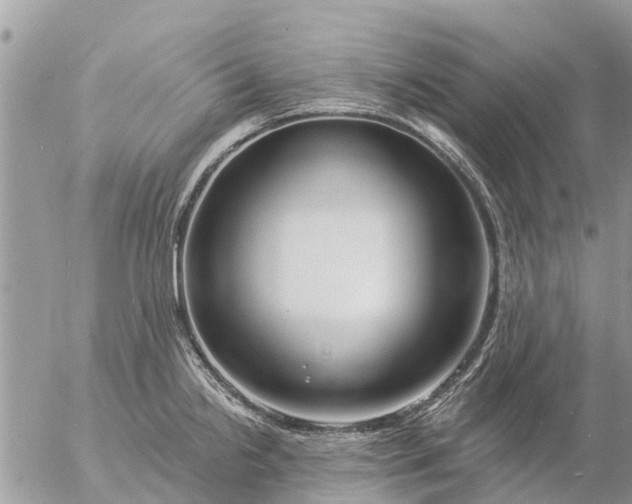 X0000057091238200509231641