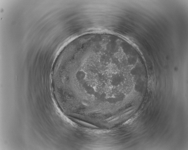 X0000057091239200509231641