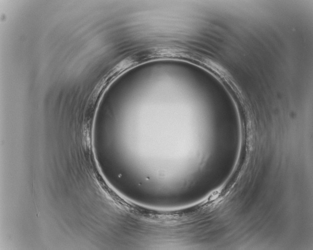 X0000057091241200509231641