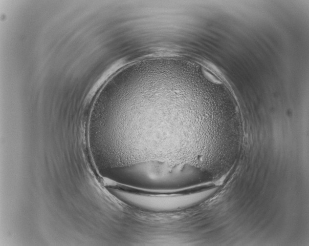 X0000057091243200509231641