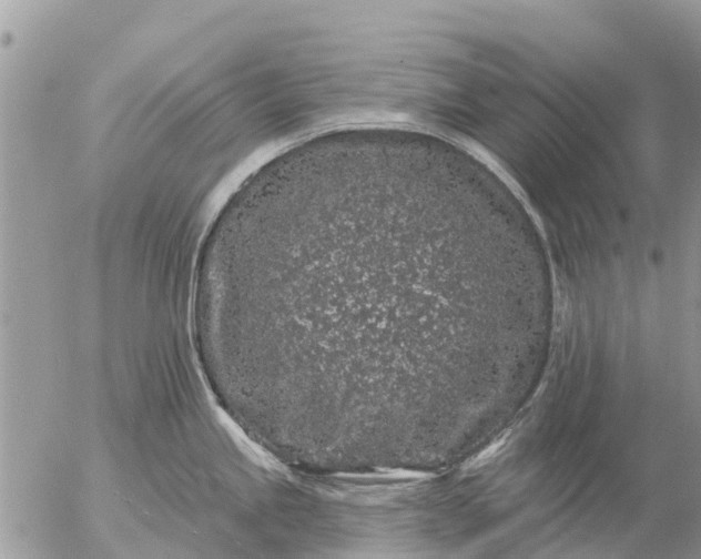 X0000057091245200509231641