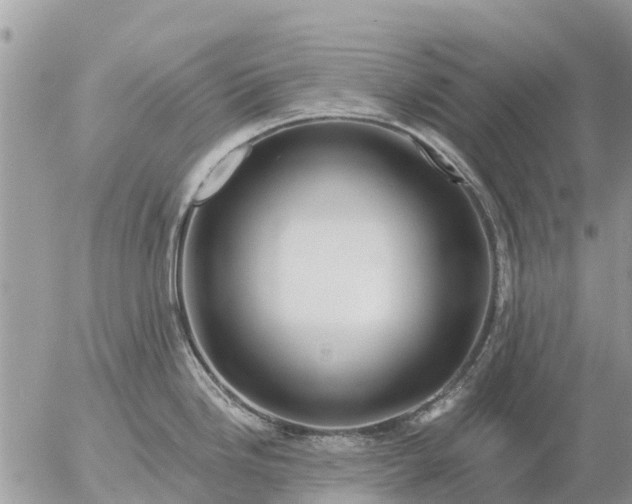 X0000057091246200509231642