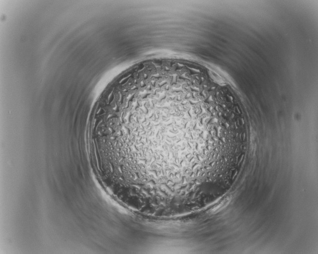 X0000057091247200509231642