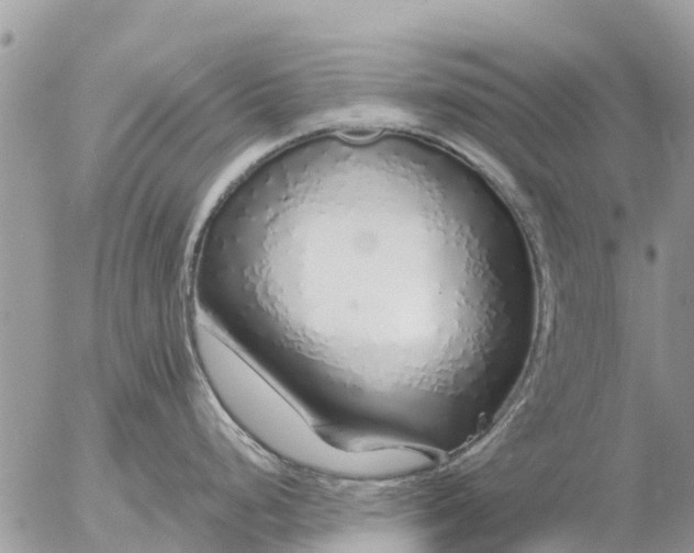 X0000057091248200509231642