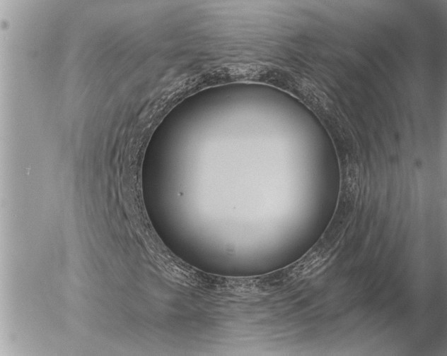 X0000057091249200509231641