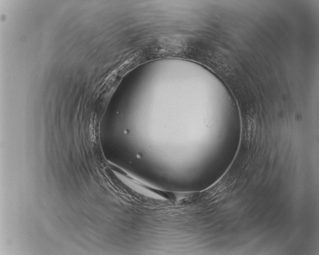 X0000057091250200509231641