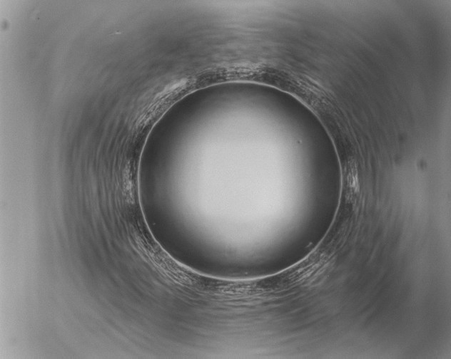 X0000057091252200509231641