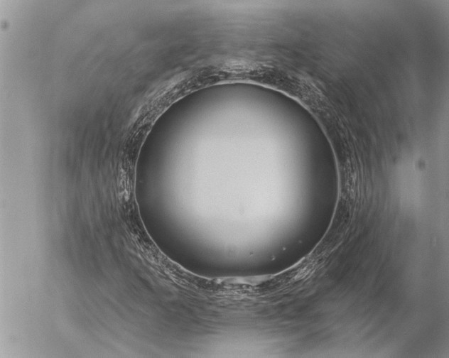 X0000057091253200509231641