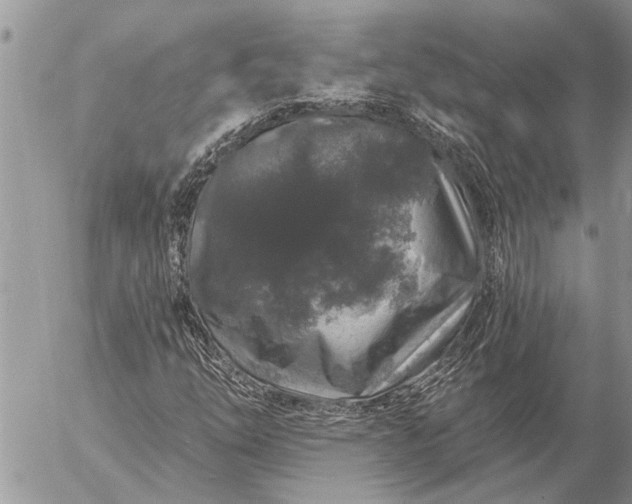 X0000057091254200509231641