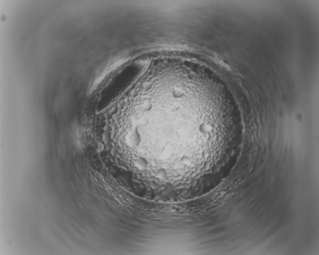 X0000057091255200509231641