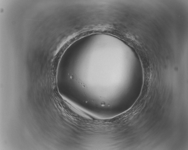 X0000057091256200509231641