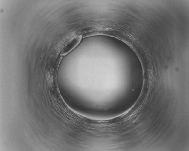 X0000057091257200509231641