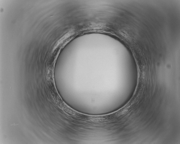 X0000057091258200509231641